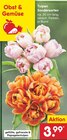 Aktuelles Tulpen Sondersorten Angebot bei Netto Marken-Discount in Koblenz ab 3,99 €