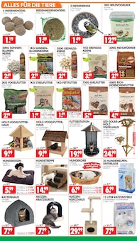 Katzenstreu im aktuellen Wreesmann Prospekt (Cottbus) Katzenstreu im Wreesmann Prospekt "DEIN SAISON- & SONDERPOSTENMARKT!" mit 12 Seiten (Cottbus)