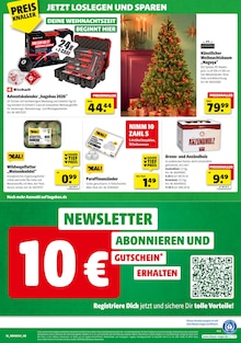 Tannenbaum im Hagebaumarkt Prospekt "HIER STARTET DEIN NÄCHSTES PROJEKT" mit 20 Seiten (Duisburg)