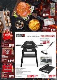 Garten Angebot & Preis im aktuellen Selgros Prospekt Garten Angebot im aktuellen Selgros Prospekt auf Seite 7