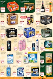 Aktueller GLOBUS Prospekt mit Hundefutter, "Aktuelle Angebote", Seite 8