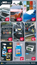 Frostschutz Angebot im aktuellen Netto mit dem Scottie Prospekt auf Seite 16