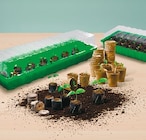 Anzuchtartikel Angebote bei Netto mit dem Scottie Brandenburg für 1,89 €