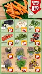 Tomaten Angebot & Preis im aktuellen REWE Prospekt Tomaten Angebot im aktuellen REWE Prospekt auf Seite 7