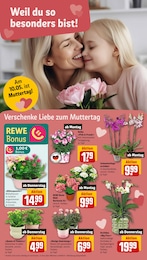Blumen im REWE Prospekt Dein Markt auf S. 8