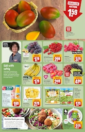 Ähnliche Bio Kefir Angebote im Prospekt "Dein Markt" von REWE Ähnliches Angebot bei REWE in Prospekt "Dein Markt" gefunden auf Seite 6