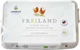 Freilandhaltungseier Angebote von Landkost bei Netto mit dem Scottie Pinneberg für 3,99 €