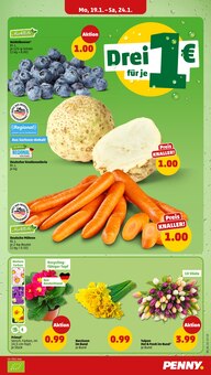 Pflanzen im Penny Prospekt "Wer günstig will, muss Penny." mit 40 Seiten (Jena)