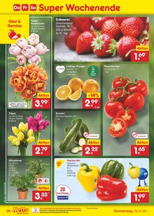 Gartenerde im Netto Marken-Discount Prospekt "Aktuelle Angebote" mit 59 Seiten (Münster)