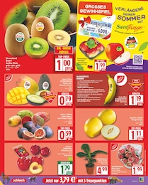 Pflanzen Angebot & Preis im aktuellen EDEKA Prospekt Pflanzen Angebot im aktuellen EDEKA Prospekt auf Seite 3
