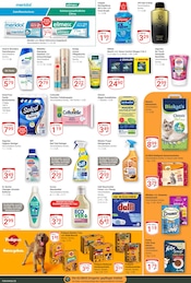 Head and Shoulders im GLOBUS Prospekt in Erlangen Aktueller GLOBUS Prospekt mit Head and Shoulders, "Aktuelle Angebote", Seite 13