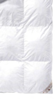 AWG Mindelheim - Daunendecke „Canada“ Angebot im Prospekt Daunendecke „Canada“ bei AWG im Mindelheim Prospekt für 229,99 €