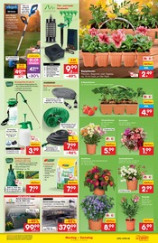 Rasenmäher im Netto Marken-Discount Prospekt in Pirna Aktueller Netto Marken-Discount Prospekt mit Rasenmäher, "Aktuelle Angebote", Seite 15