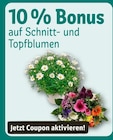 Angebot im REWE Bad Arolsen Prospekt REWE Bad Arolsen Prospekt mit im Angebot für