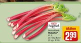 Rhabarber Angebote von REWE Regional bei REWE Wismar für 2,99 €