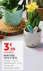 Narcisse Tête à Tête - Super U à Montpellier Narcisse Tête à Tête en promo chez Super U Montpellier à 3,99 €