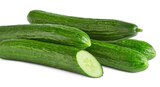 Bio Gurken im Penny Prospekt Bio-Gurke im aktuellen Penny Prospekt für 0,89 €
