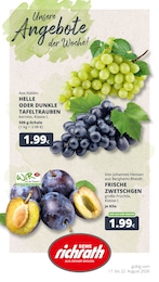 REWE Prospekt für Erftstadt mit 23 Seiten REWE Prospekt für Erftstadt: "Dein Markt", 23 Seiten, 17.08.2026 - 22.08.2026
