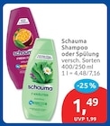 Shampoo 7 Kräuter bei budni im Harsefeld Prospekt für 1,49 €