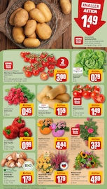 Aktueller REWE Prospekt mit Dekoration, "Dein Markt", Seite 9