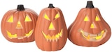 LED-Dekorations beleuchtung Halloween Pumpkin bei Rusta im Prospekt "" für 1,99 €