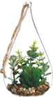 Plante artificielle avec pot goutte en verre H.19,5cm en promo chez Maxi Bazar Saint-Cloud à 4,79 €