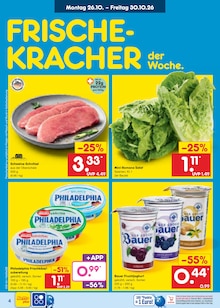 Schnitzel im Netto Marken-Discount Prospekt "Aktuelle Angebote" mit 67 Seiten (Hamburg)