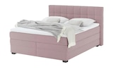 vanDoorn Boxspringbett mit Bettkasten bei Möbel Kraft im Prospekt "" für 1.699,00 €