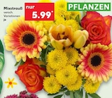 Mixstrauß bei Kaufland im Prospekt "" für 5,99 €