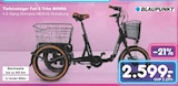 Tiefeinsteiger Falt E-Trike MINNA bei Netto Marken-Discount im Herborn Prospekt für 2.599,00 €