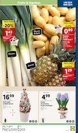 Catalogue Lidl en cours à Saint-Étienne, "BLACK FRIDAY DEALS", Page 33