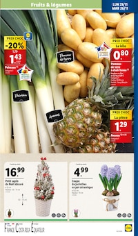 Promo Plante En Pot dans le catalogue Lidl du moment à la page 33