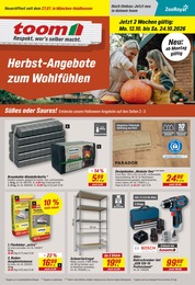 toom Baumarkt Bodenbelag im Prospekt 