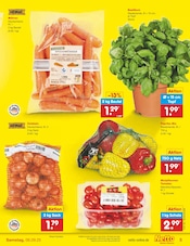 Paprika-Mix im Netto Marken-Discount Prospekt in Mülheim Aktueller Netto Marken-Discount Prospekt mit Paprika-Mix, "Aktuelle Angebote", Seite 5