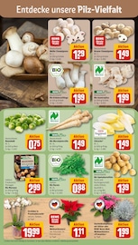 Ähnliche Leinsamen Angebote im Prospekt "Dein Markt" von REWE Ähnliches Angebot bei REWE in Prospekt "Dein Markt" gefunden auf Seite 7