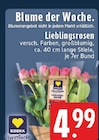 Lieblingsrosen im Angebot bei EDEKA in Grevenbroich Lieblingsrosen Angebote von EDEKA Herzstücke bei EDEKA Grevenbroich