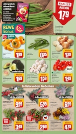 Farbe im REWE Prospekt in Weimar Aktueller REWE Prospekt mit Farbe, "Dein Markt", Seite 9
