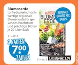 Blumenerde Angebot in Pentling Blumenerde im aktuellen Prospekt bei V-Markt in Pentling