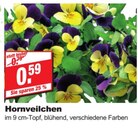 Hornveilchen bei bauSpezi im Ebermannstadt Prospekt für 0,59 €