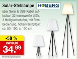 Solar-Stehlampe von Hoberg im aktuellen Zimmermann Prospekt