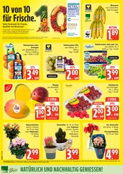 Ähnliche Terrassendielen Angebote im Prospekt "Top Angebote" von EDEKA in Neumünster Ähnliche Angebote wie Terrassendielen im Prospekt "Top Angebote" auf Seite 4 von EDEKA in Neumünster