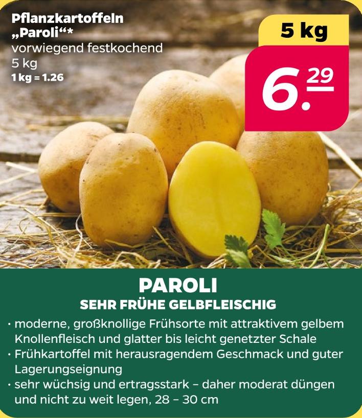 Pflanzkartoffeln Paroli