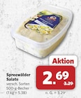 Aktuelles Spreewälder Salate Angebot bei combi in Bielefeld ab 2,69 €