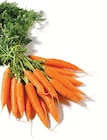 Bundmöhren für 1,11 € bei Netto mit dem Scottie im Angebot Bundmöhren im aktuellen Netto mit dem Scottie Prospekt