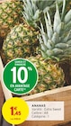 Promo Ananas à 1,45 € dans le catalogue Intermarché à Aulnay-sous-Bois