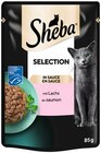 Katzennahrung Angebote von Sheba bei REWE Euskirchen für 0,44 €