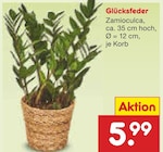 Glücksfeder Angebote bei Netto Marken-Discount Oberhausen für 5,99 €