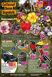 Aktueller Hornbach Prospekt mit Tulpen, "Wir sagen Danke.", Seite 28