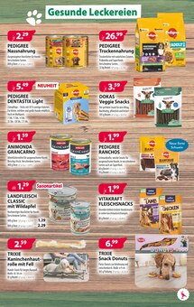 Fisch im Kiebitzmarkt Prospekt "Hallo Herbst!" mit 8 Seiten (Cottbus)