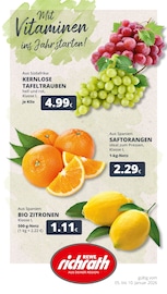 REWE Supermarkt Prospekt der aktuellen Woche mit 25 Seiten, gültig von 05.01.2026 bis 10.01.2026, in Köln und Umgebung Aktueller REWE Supermarkt Prospekt in Köln und Umgebung, "Dein Markt" mit 25 Seiten, 05.01.2026 - 10.01.2026